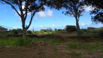 0 S Holokai Rd  , Hi vacant land for sale - photo 2 of 15