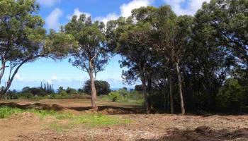 0 S Holokai Rd  , Hi vacant land for sale - photo 3 of 15