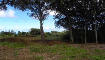 0 S Holokai Rd , Hi vacant land for sale - photo 4 of 15 0 S Holokai Rd , Hi vacant land for sale - photo 4 of 15