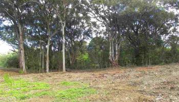 0 S Holokai Rd , Hi vacant land for sale - photo 5 of 15 0 S Holokai Rd , Hi vacant land for sale - photo 5 of 15
