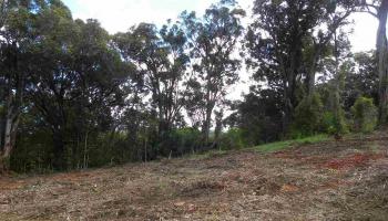 0 S Holokai Rd , Hi vacant land for sale - photo 6 of 15