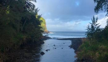 0  Honokohau Valley Rd , Kapalua home - photo 3 of 9