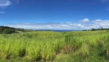 0 Hookili Rd  , Hi vacant land for sale - photo 1 of 8