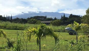 0 Hookili Rd , Hi vacant land for sale - photo 6 of 8