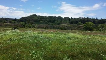 0 Hookili Rd Peahi  , Hi vacant land for sale - photo 4 of 10