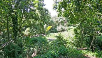 0 Hoolawa Rd , Hi vacant land for sale - photo 3 of 6 0 Hoolawa Rd , Hi vacant land for sale - photo 3 of 6