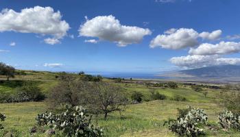 Ho'omaika'i Place  Kula, Hi vacant land for sale - photo 5 of 10
