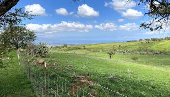 Ho'omaika'i Place  Kula, Hi vacant land for sale - photo 6 of 10