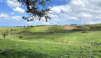 Ho'omaika'i Place Lot 7 Kula, Hi vacant land for sale - photo 6 of 9