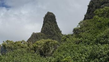 Iao Valley Rd  Wailuku, Hi vacant land for sale - photo 1 of 41
