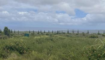 Kaana St  Maunaloa, Hi vacant land for sale - photo 2 of 22