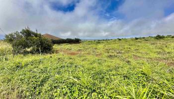 Kaana St  Maunaloa, Hi vacant land for sale - photo 5 of 22
