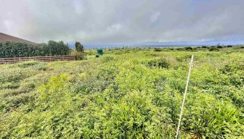 Kaana St  Maunaloa, Hi vacant land for sale - photo 6 of 22