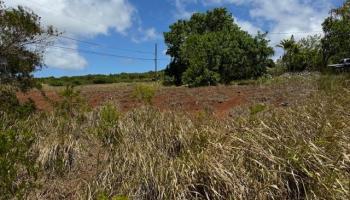 Kaana Street St Lot 499 Maunaloa, Hi vacant land for sale - photo 2 of 13