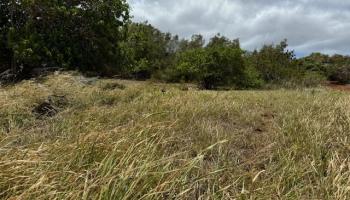 Kaana Street St Lot 499 Maunaloa, Hi vacant land for sale - photo 3 of 13