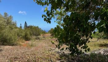 Kaana Street St Lot 499 Maunaloa, Hi vacant land for sale - photo 4 of 13