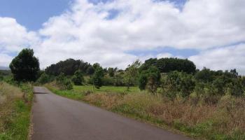 0 Kahakapao RD  Makawao, Hi vacant land for sale - photo 3 of 11