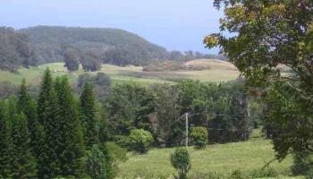 0 Kahakapao RD  Makawao, Hi vacant land for sale - photo 5 of 11
