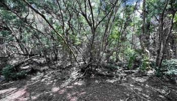 Kahanui Acres Pl Lot A Hoolehua, Hi vacant land for sale - photo 1 of 4