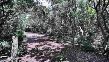 Kahanui Acres Pl Lot B Hoolehua, Hi vacant land for sale - photo 1 of 5