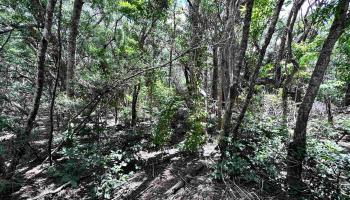0 Kahanui Acres Pl Lot B Hoolehua, Hi vacant land for sale - photo 3 of 4