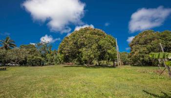 0 Kahiapo Pl Haiku, Hi 96708 vacant land - photo 2 of 4 0 Kahiapo Pl Haiku, Hi 96708 vacant land - photo 2 of 4