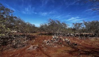 0 Kaiaka Rd 007 Maunaloa, Hi vacant land for sale - photo 2 of 10