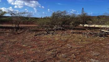 0 Kaiaka Rd 007 Maunaloa, Hi vacant land for sale - photo 6 of 10