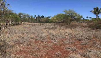 0 Kaiaka Rd Lot #11 Maunaloa, Hi vacant land for sale - photo 5 of 8