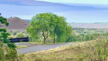 0 Kalama-Kanaio Rd  Kula, Hi vacant land for sale - photo 2 of 9