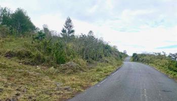 0 Kalama-Kanaio Rd  Kula, Hi vacant land for sale - photo 3 of 9