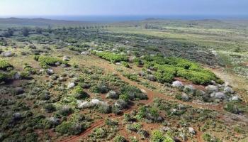 0 Kalua Koi Rd 47 Maunaloa, Hi vacant land for sale - photo 5 of 18