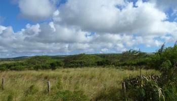 0 Kalua Koi Rd 55 Maunaloa, Hi vacant land for sale - photo 2 of 3
