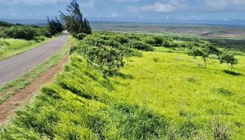0 Kalua Koi Rd 56 Maunaloa, Hi vacant land for sale - photo 5 of 27