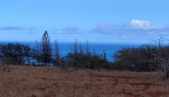 0 Kalua Koi Rd Lot 251 Maunaloa, Hi vacant land for sale - photo 2 of 14