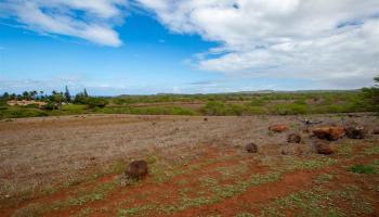 0 Kalua Koi Rd Lot 251 Maunaloa, Hi vacant land for sale - photo 6 of 14