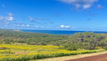 0 Kalua Koi Rd  Maunaloa, Hi vacant land for sale - photo 1 of 13