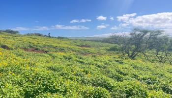 0 Kalua Koi Rd  Maunaloa, Hi vacant land for sale - photo 5 of 13