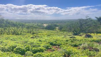 0 Kalua Koi Rd  Maunaloa, Hi vacant land for sale - photo 6 of 13