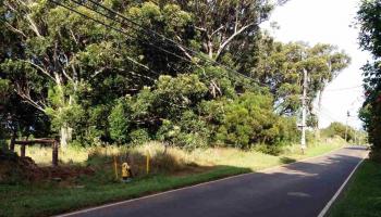 0 Kauhikoa Road  , Hi vacant land for sale - photo 6 of 6