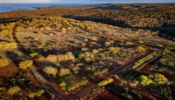 Kaula Rd  Maunaloa, Hi vacant land for sale - photo 2 of 4