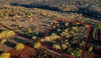 Kaula Rd  Maunaloa, Hi vacant land for sale - photo 3 of 4