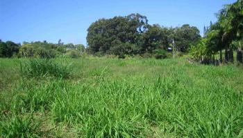 Kaupakalua Rd Lot 15 , Hi vacant land for sale - photo 2 of 9 Kaupakalua Rd Lot 15 , Hi vacant land for sale - photo 2 of 9