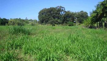 Kaupakalua Rd Lot 15 , Hi vacant land for sale - photo 2 of 9