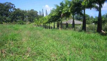 Kaupakalua Rd Lot 15 , Hi vacant land for sale - photo 3 of 9