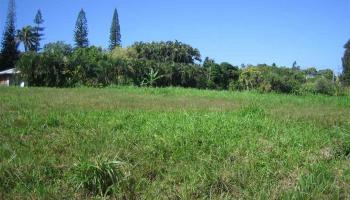 Kaupakalua Rd Lot 15 , Hi vacant land for sale - photo 5 of 9 Kaupakalua Rd Lot 15 , Hi vacant land for sale - photo 5 of 9