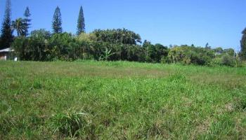 Kaupakalua Rd Lot 15 , Hi vacant land for sale - photo 5 of 9