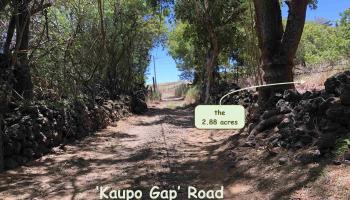 0 Kaupo Gap Rd  Hana, Hi vacant land for sale - photo 1 of 8