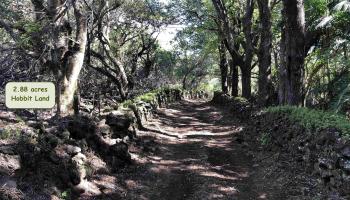 0 Kaupo Gap Rd  Hana, Hi vacant land for sale - photo 3 of 8