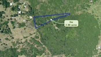 0 Kaupo Gap Rd  Hana, Hi vacant land for sale - photo 6 of 8